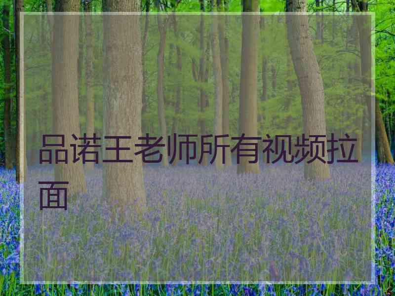 品诺王老师所有视频拉面 品诺王老师所有视频拉面