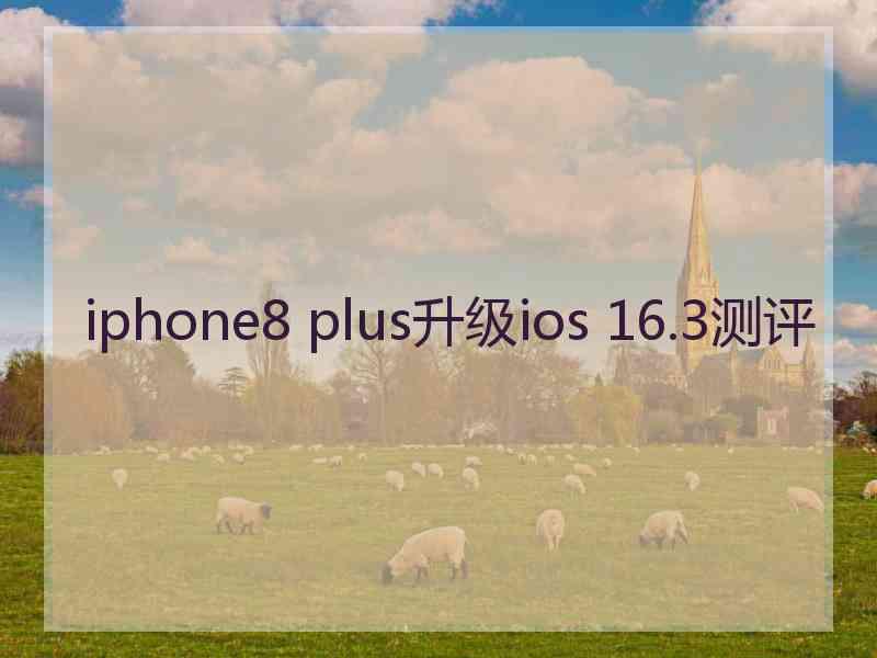 iphone8 plus升级ios 16.3测评 iphone8 plus升级ios 16.3测评