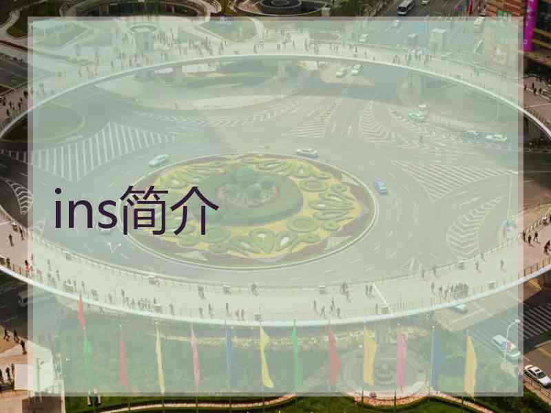 ins简介 ins简介
