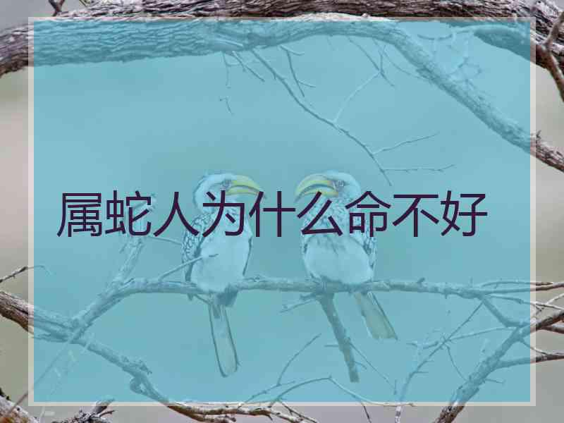 属蛇人为什么命不好 属蛇人为什么命不好