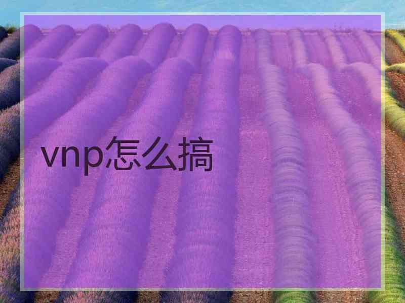 vnp怎么搞 vnp怎么搞