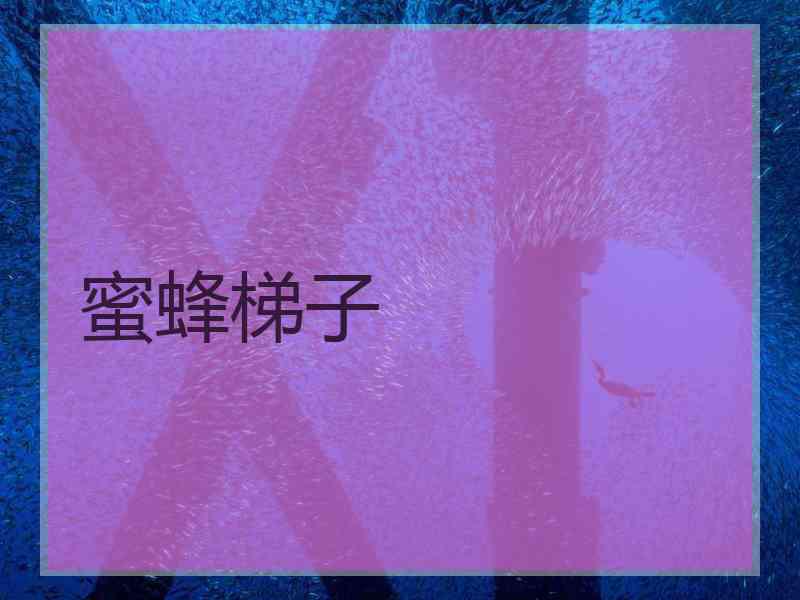 蜜蜂梯子 蜜蜂梯子