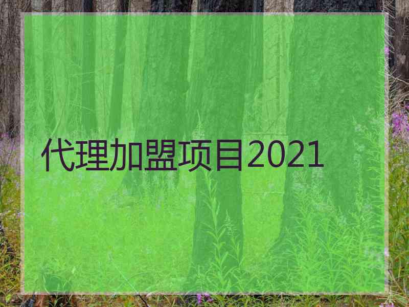 代理加盟项目2021 代理加盟项目2021