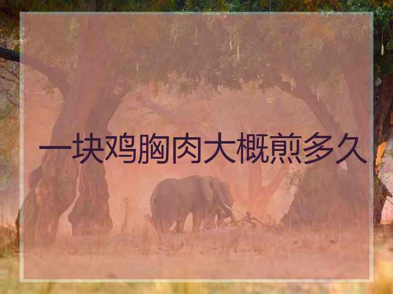 一块鸡胸肉大概煎多久 一块鸡胸肉大概煎多久