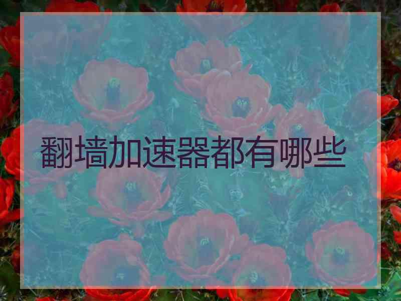 翻墙加速器都有哪些 翻墙加速器都有哪些