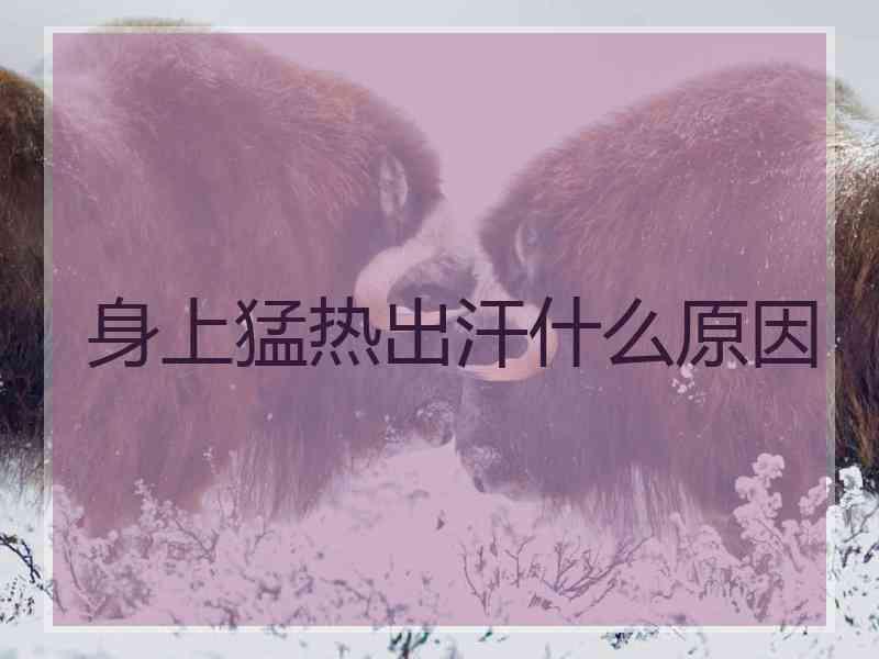 身上猛热出汗什么原因 身上猛热出汗什么原因