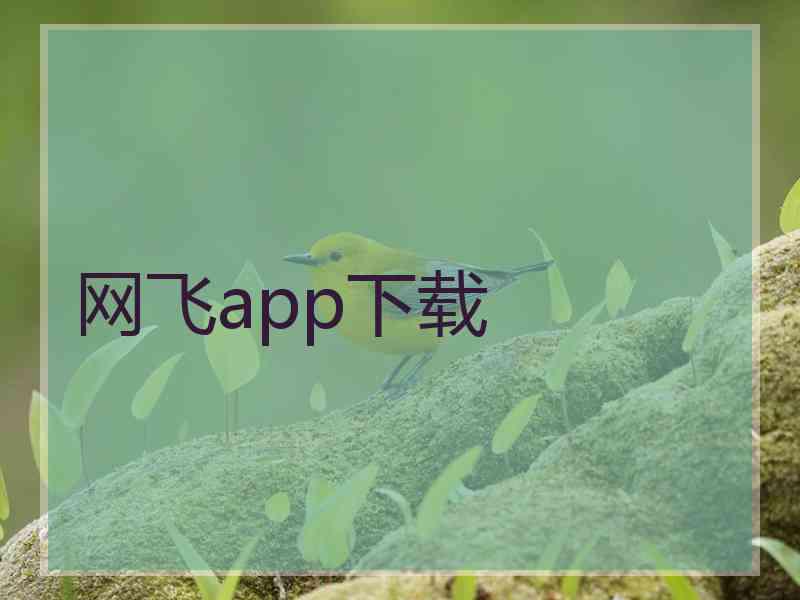 网飞app下载 网飞app下载