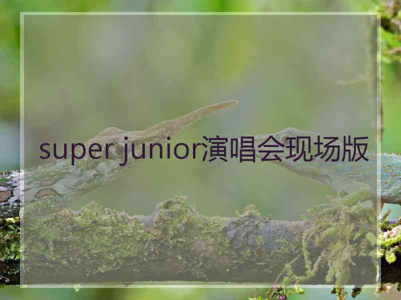 super junior演唱会现场版 super junior演唱会现场版
