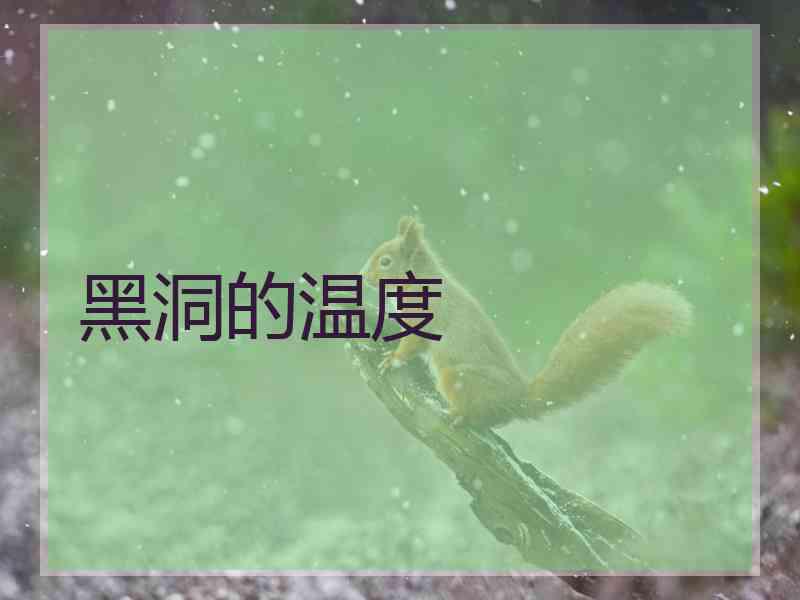 黑洞的温度 黑洞的温度