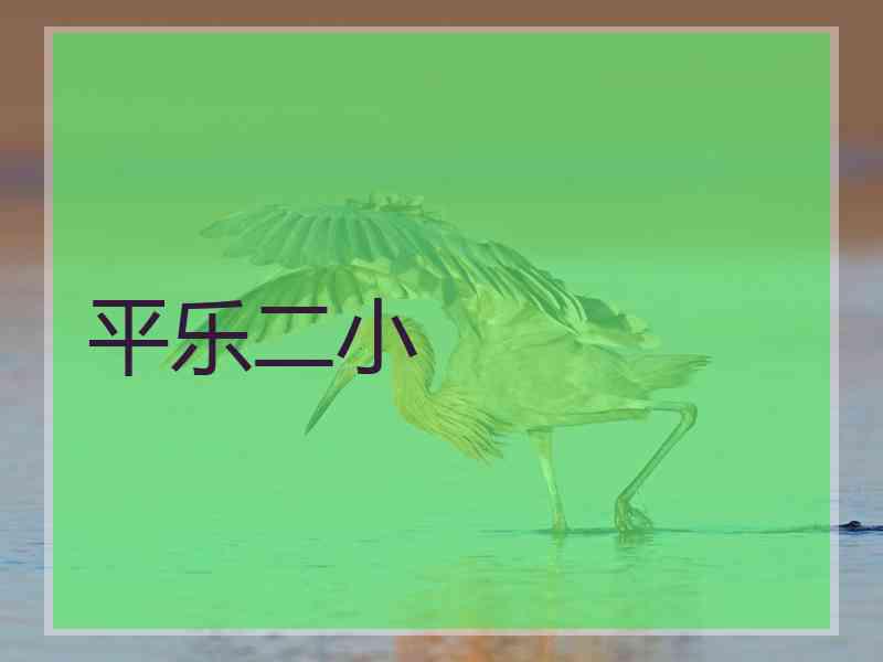 平乐二小 平乐二小