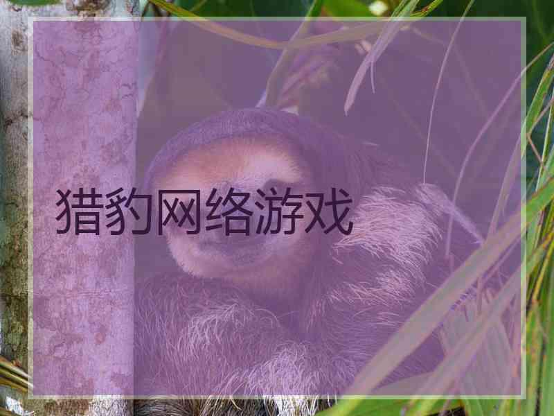 猎豹网络游戏 猎豹网络游戏