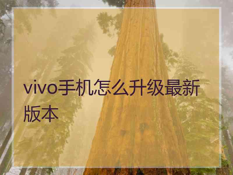 vivo手机怎么升级最新版本 vivo手机怎么升级最新版本