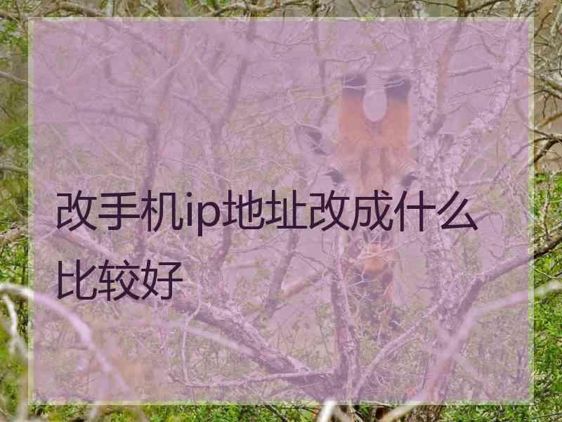 改手机ip地址改成什么比较好 改手机ip地址改成什么比较好