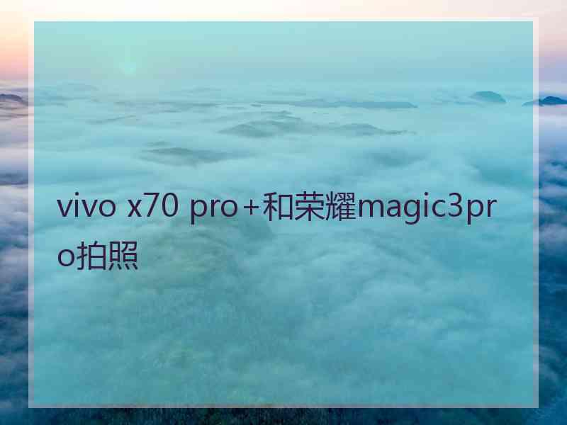 vivo x70 pro+和荣耀magic3pro拍照 vivo x70 pro+和荣耀magic3pro拍照