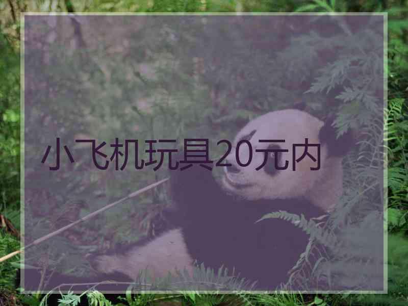 小飞机玩具20元内 小飞机玩具20元内
