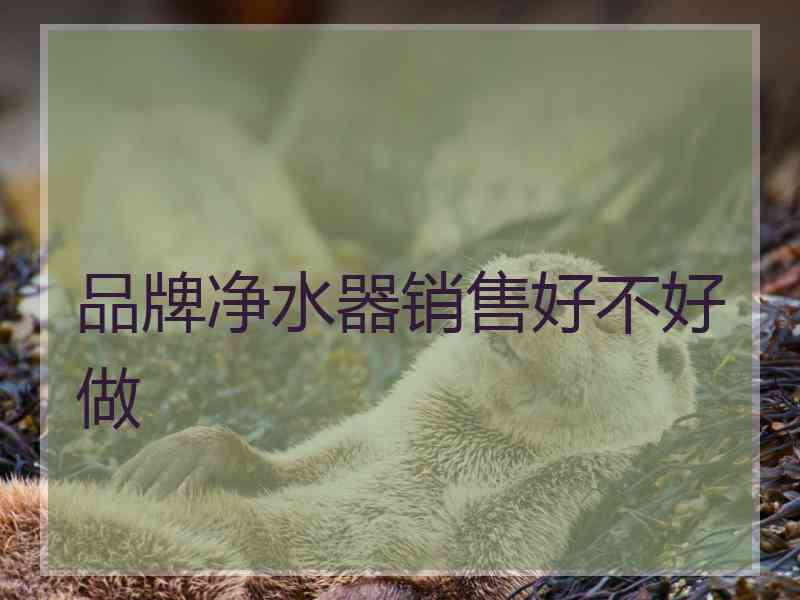 品牌净水器销售好不好做 品牌净水器销售好不好做