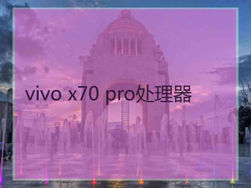 vivo x70 pro处理器 vivo x70 pro处理器