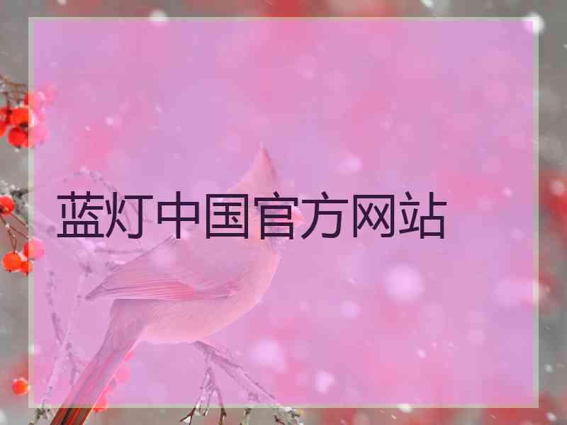 蓝灯中国官方网站 蓝灯中国官方网站