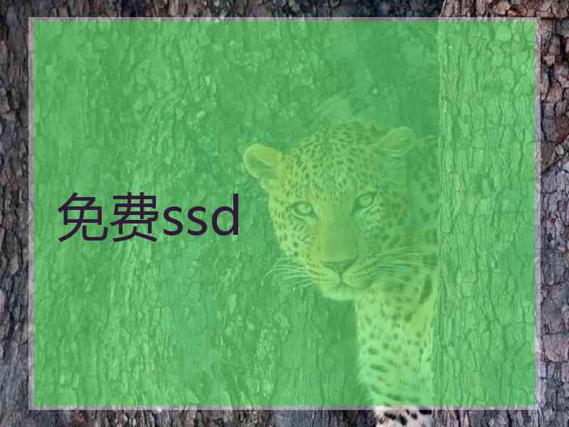 免费ssd 免费ssd