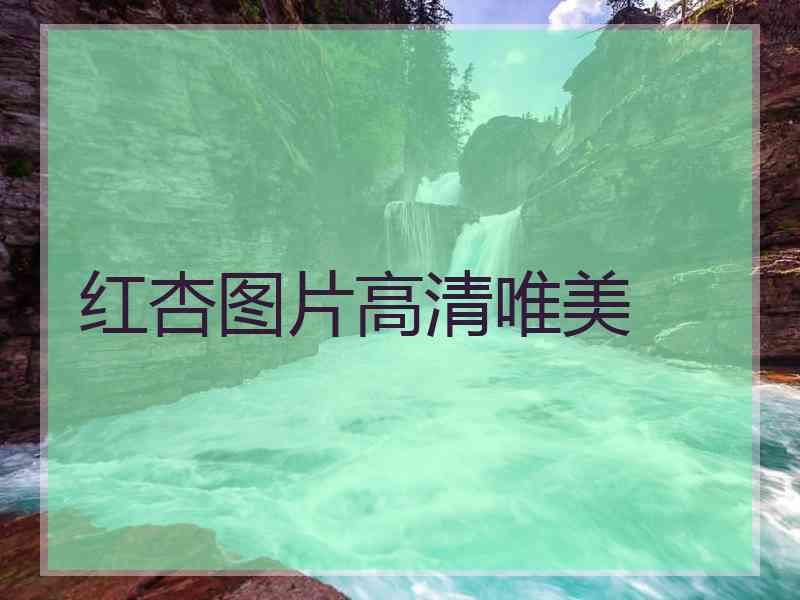 红杏图片高清唯美 红杏图片高清唯美