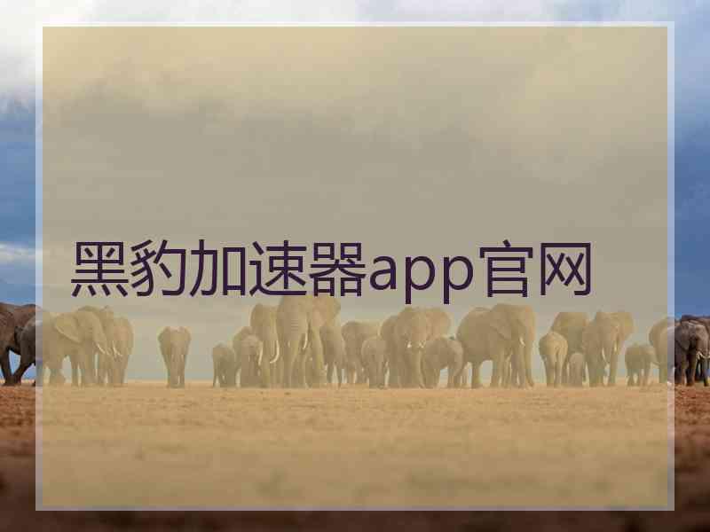 黑豹加速器app官网 黑豹加速器app官网