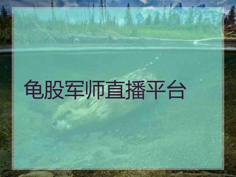 龟股军师直播平台 龟股军师直播平台