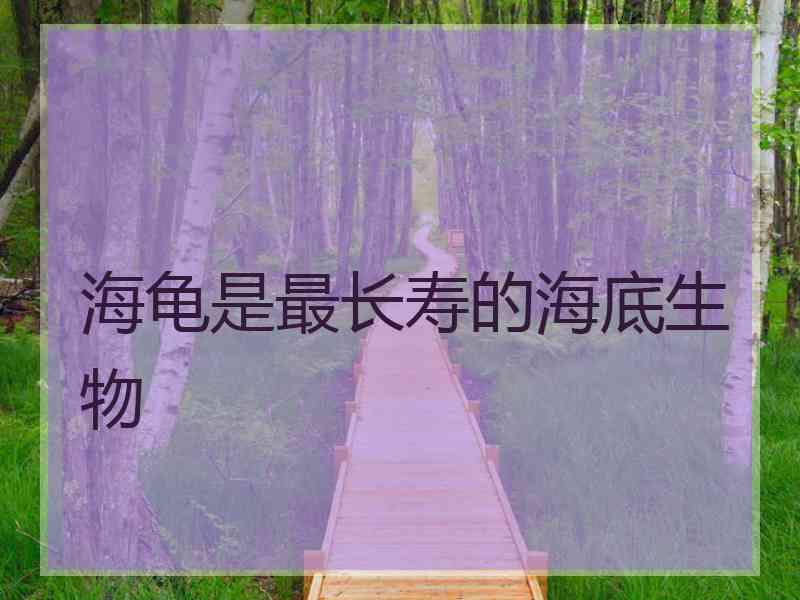 海龟是最长寿的海底生物 海龟是最长寿的海底生物