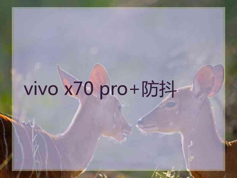 vivo x70 pro+防抖 vivo x70 pro+防抖
