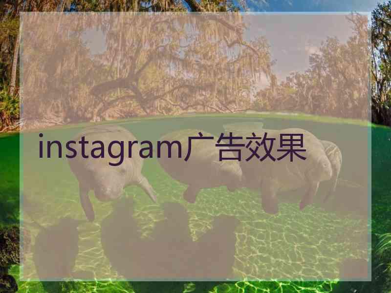 instagram广告效果 instagram广告效果