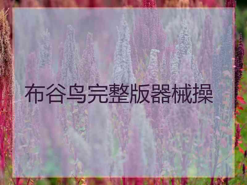 布谷鸟完整版器械操 布谷鸟完整版器械操