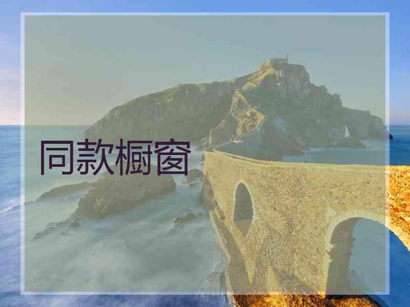 同款橱窗 同款橱窗