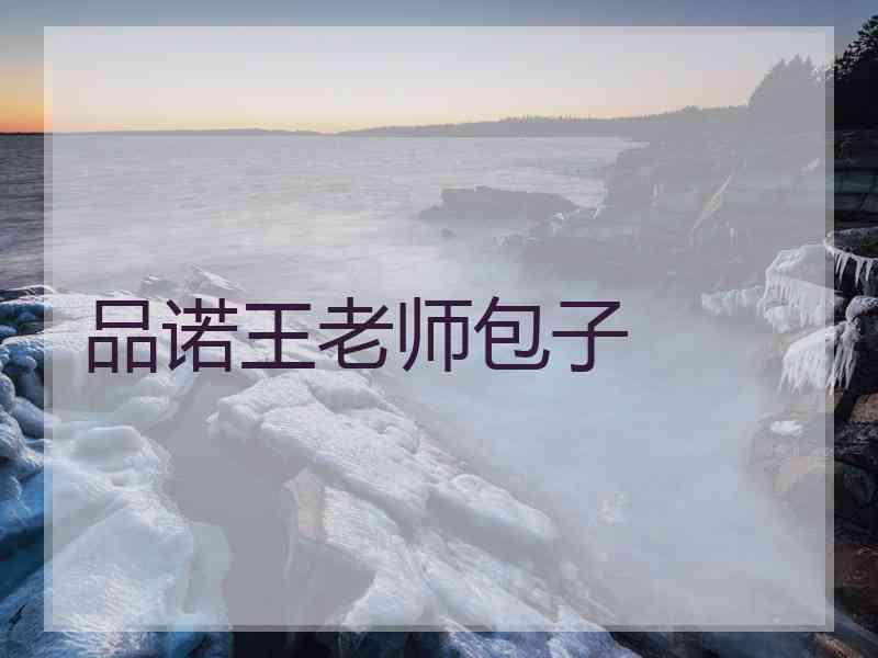 品诺王老师包子 品诺王老师包子