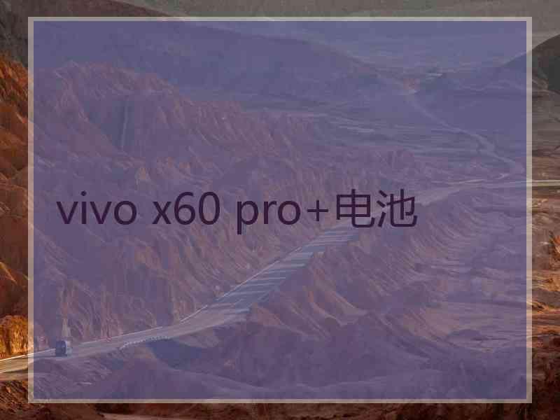vivo x60 pro+电池 vivo x60 pro+电池