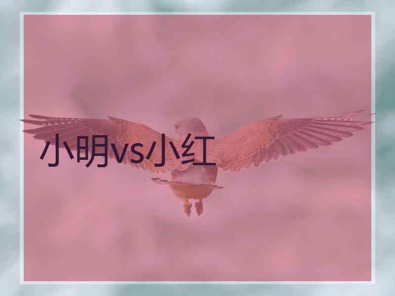 小明vs小红 小明vs小红