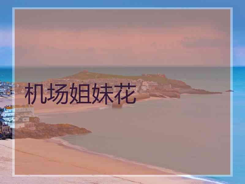 机场姐妹花 机场姐妹花