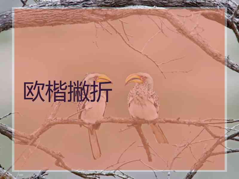 欧楷撇折 欧楷撇折