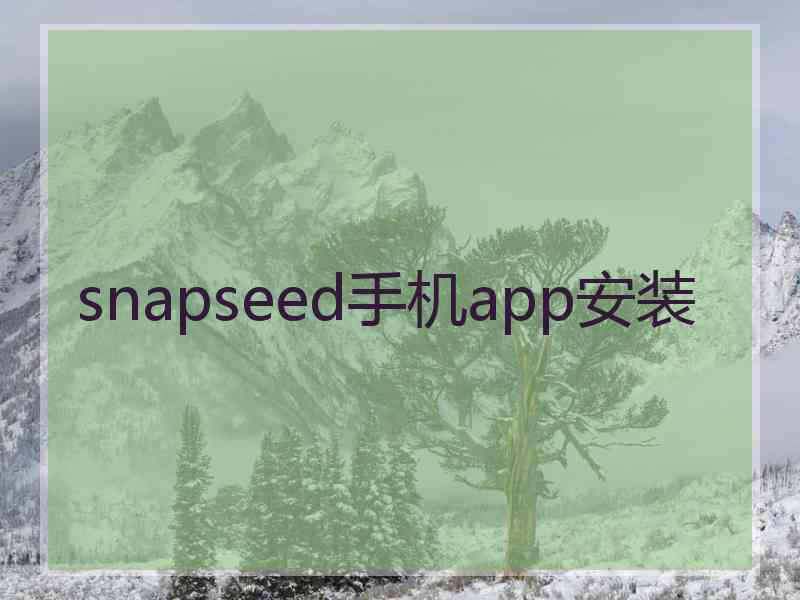 snapseed手机app安装 snapseed手机app安装