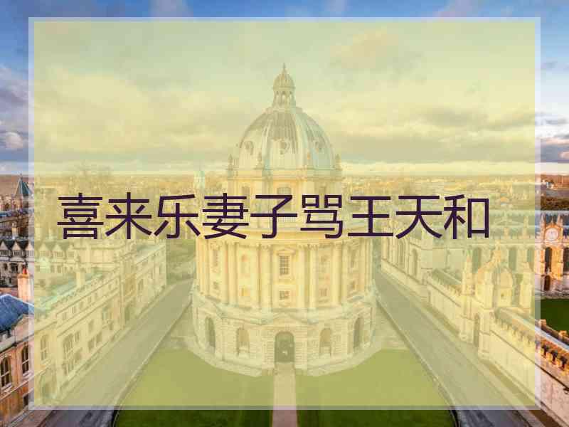 喜来乐妻子骂王天和 喜来乐妻子骂王天和