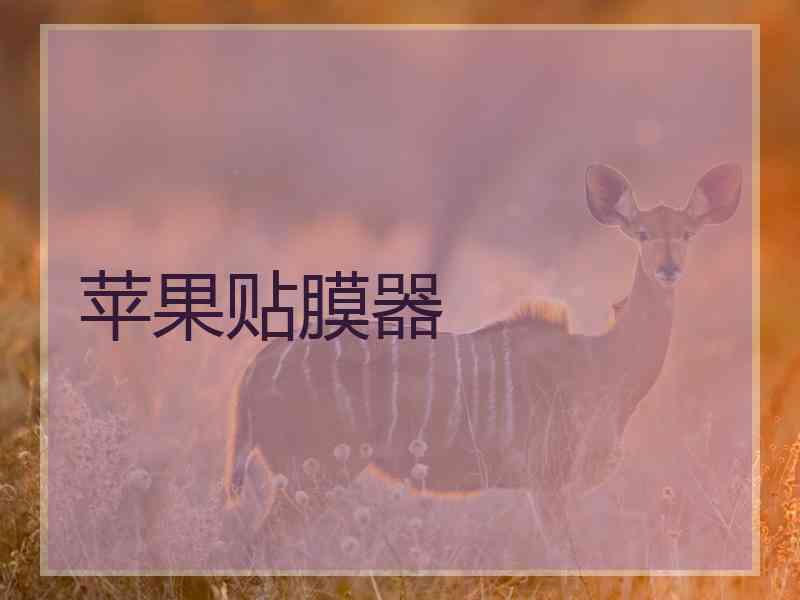 苹果贴膜器 苹果贴膜器