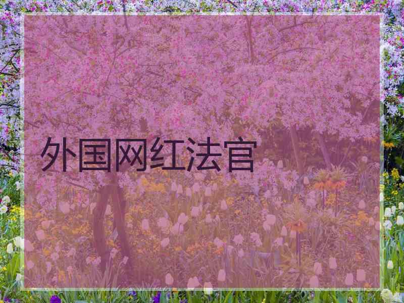 外国网红法官 外国网红法官