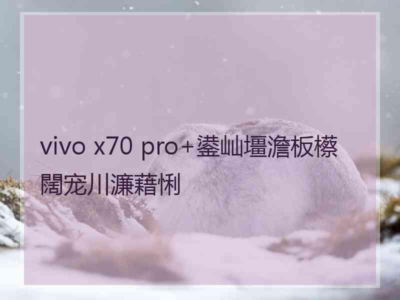 vivo x70 pro+鍙屾壃澹板櫒闊宠川濂藉悧 vivo x70 pro+鍙屾壃澹板櫒闊宠川濂藉悧