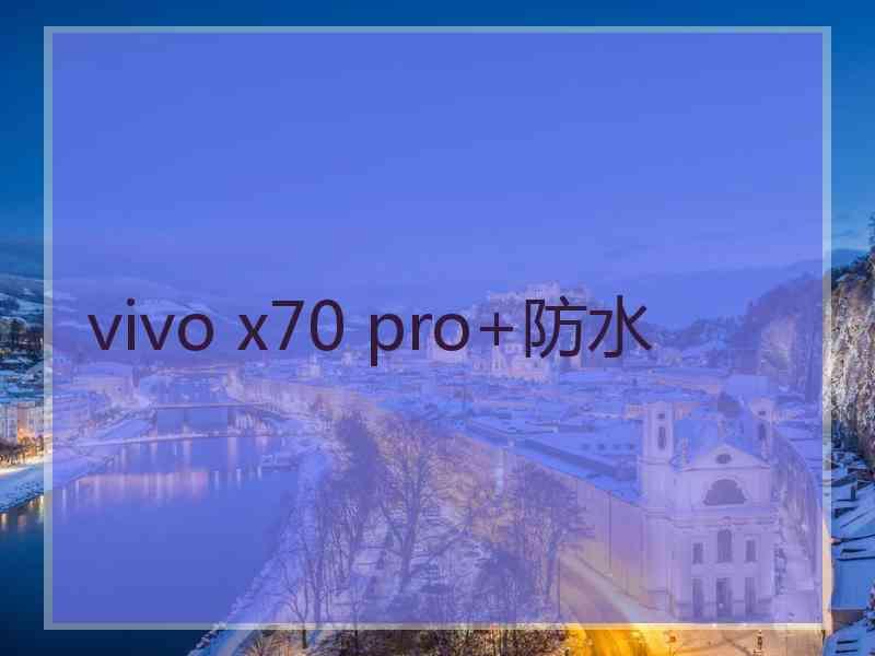 vivo x70 pro+防水 vivo x70 pro+防水