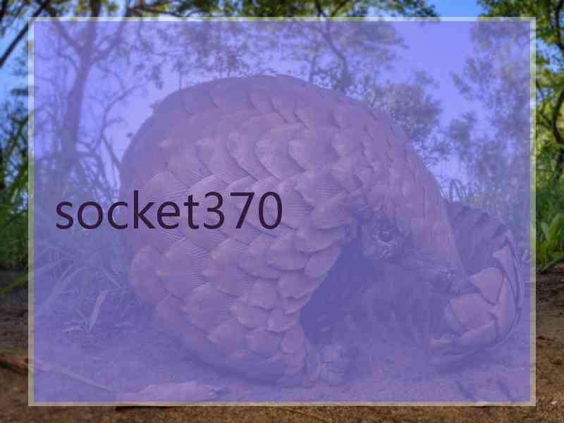 socket370 socket370