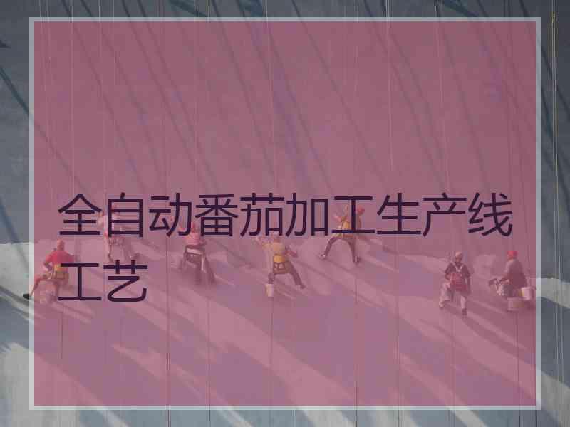 全自动番茄加工生产线工艺 全自动番茄加工生产线工艺