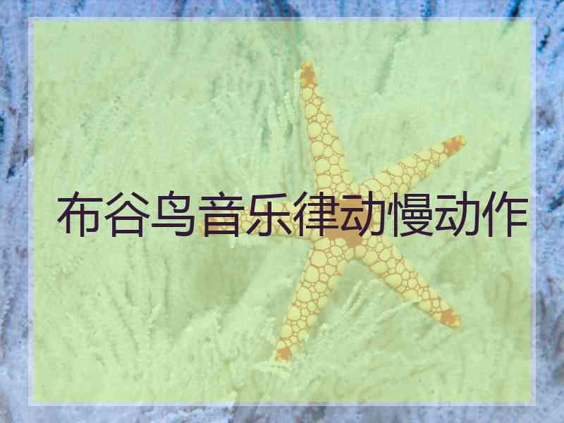 布谷鸟音乐律动慢动作 布谷鸟音乐律动慢动作