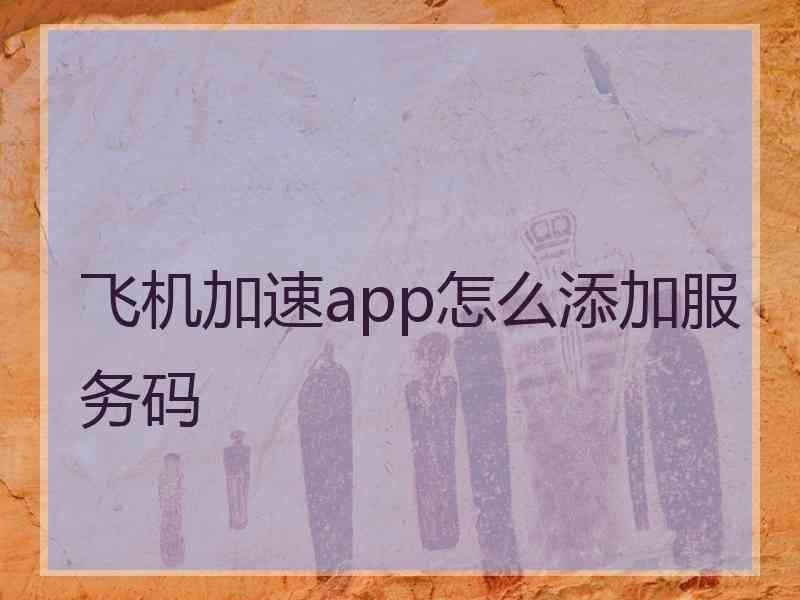 飞机加速app怎么添加服务码 飞机加速app怎么添加服务码