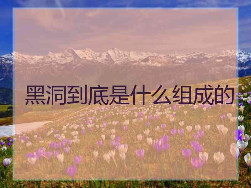 黑洞到底是什么组成的 黑洞到底是什么组成的