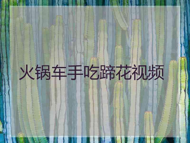 火锅车手吃蹄花视频 火锅车手吃蹄花视频