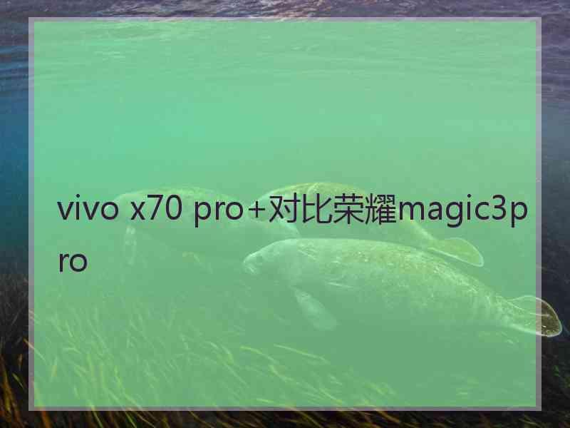 vivo x70 pro+对比荣耀magic3pro vivo x70 pro+对比荣耀magic3pro