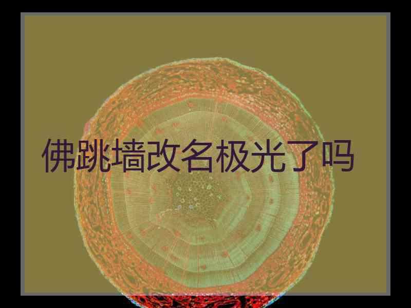 佛跳墙改名极光了吗 佛跳墙改名极光了吗